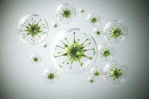 bacterias